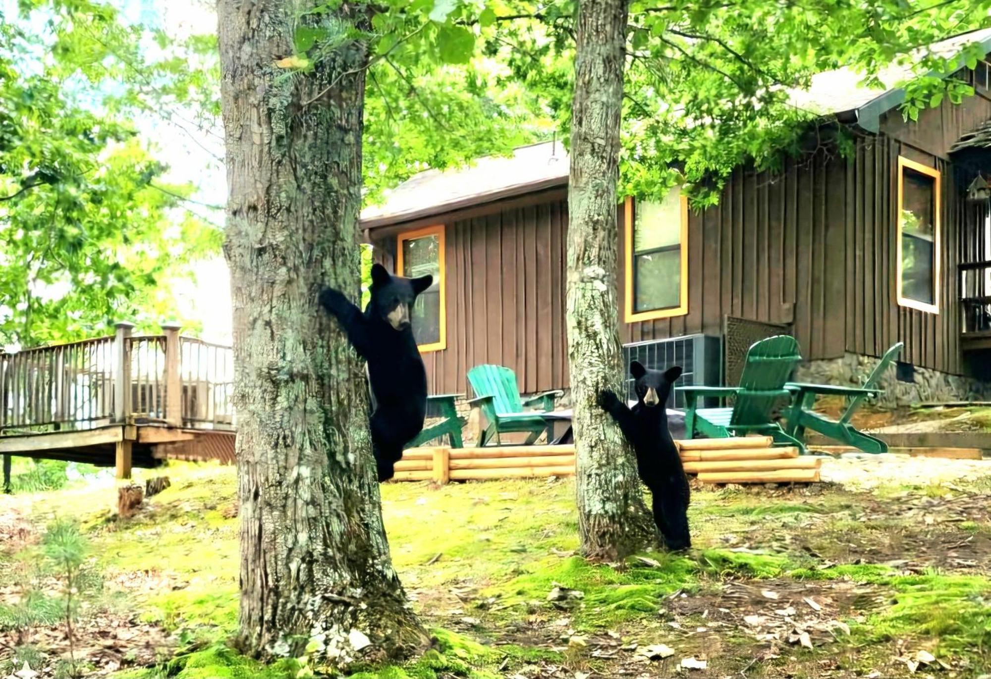 10 Miles Away From The Heart Of It All! Pigeon Forge Εξωτερικό φωτογραφία